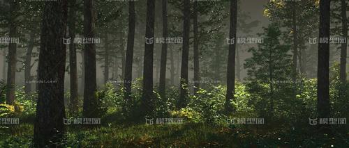 树林 森林 原始森林 _154770715作品_场景自然场景_cg模型网