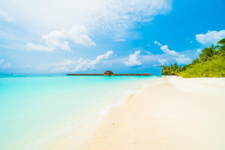 漂亮,热带沙滩,海洋,椰树,蓝色背景,天空,马尔代夫,岛屿,向上,彩色