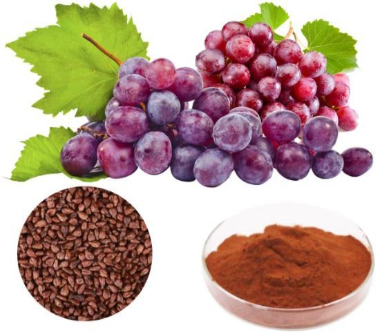 什么是葡萄籽提取物?葡萄籽的功效与作用有哪些?
