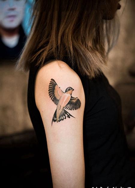 女生手臂小燕子纹身图案