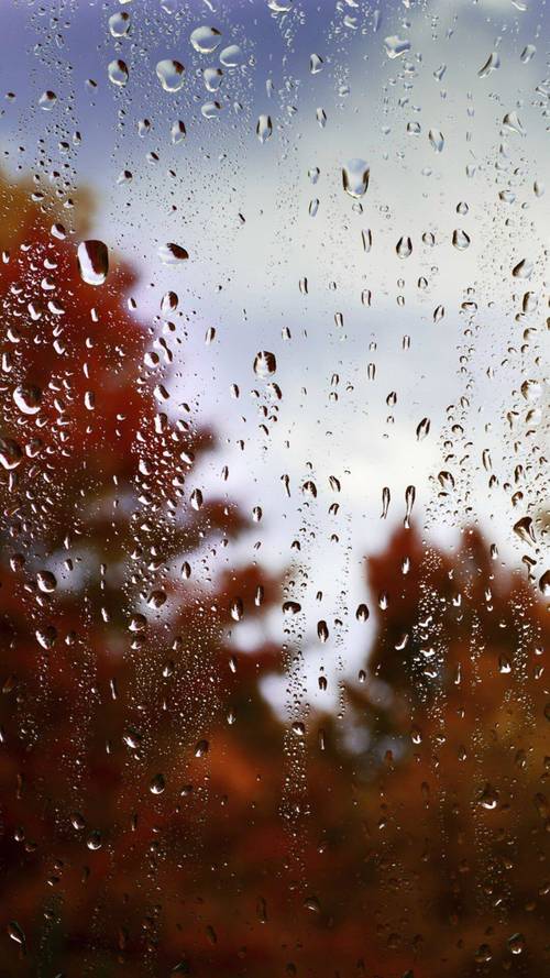 窗户,雨滴,水滴,下雨,手机壁纸唯美窗户雨滴