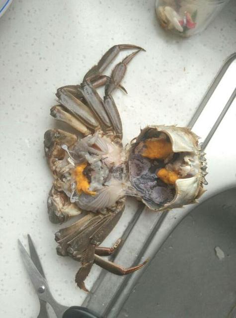 螃蟹刚死没多久能吃吗
