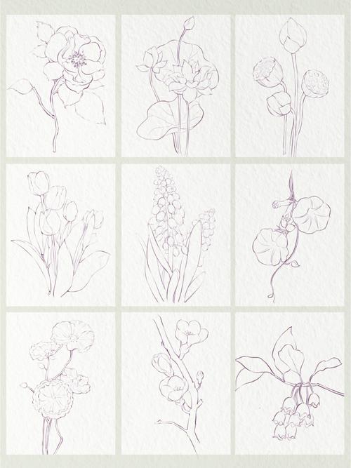 水彩教程60花朵线稿合集