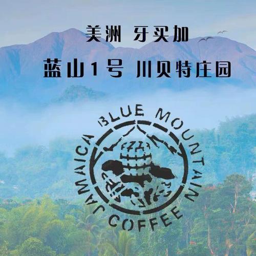 蓝山咖啡产地哪个国家