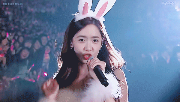 美女可爱小兔子唱歌舞台演出gif动图_动态图_表情包下载_soogif