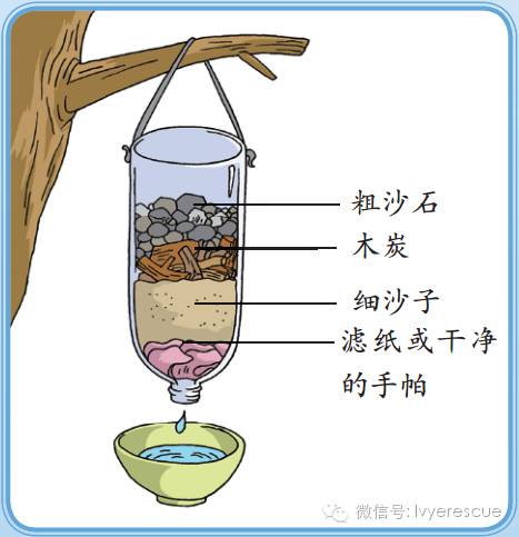 【连载】《中国少年儿童安全防护指南》(47)——在野外,我们如何找水