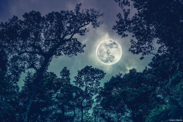 幽静的夜晚欣赏皎洁的月光