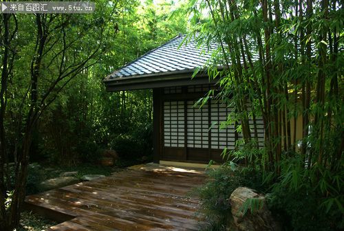 主题为建筑风景,可用作竹林,日本建筑,竹林风景,旅游风景等相关设计的
