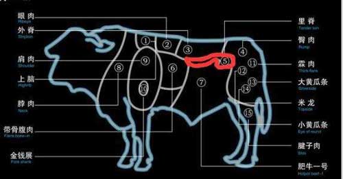 牛的甲状腺在哪个部位