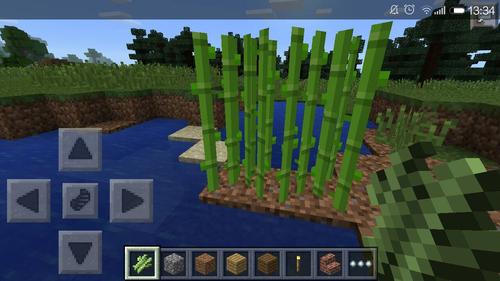 我的世界手机版创造模式的竹子怎么种?图标是哪个?
