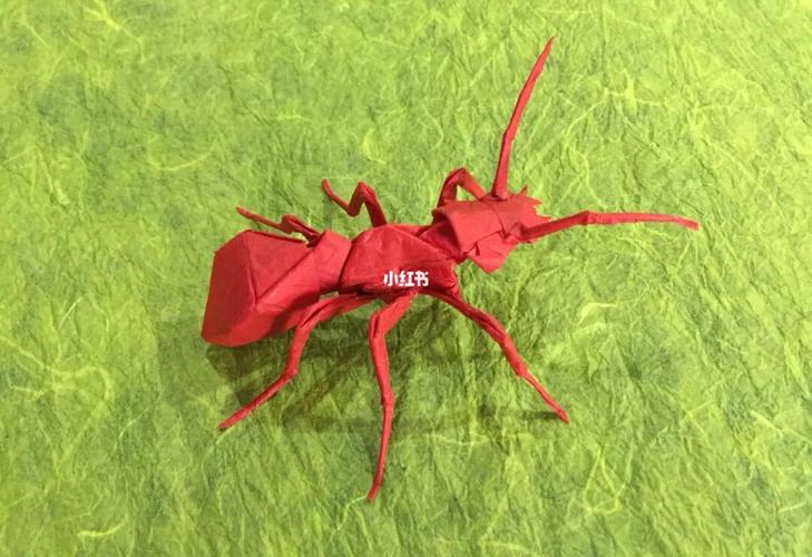 折纸蚂蚁
