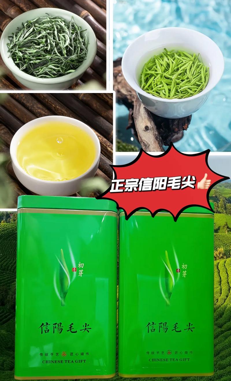 新茶信阳毛尖又称豫毛峰绿茶春茶,作为驰名中外的 - 抖音