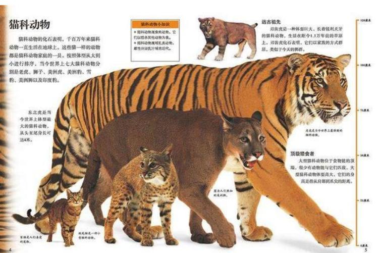 老虎的祖先是剑齿虎吗