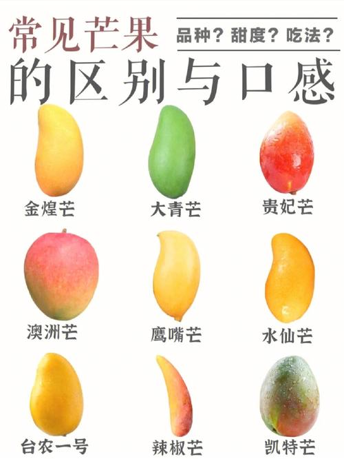 常见芒果的区别甜度口感及神仙吃法