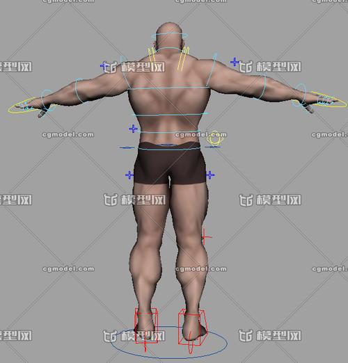 举重运动员 男人体 猛男 拳击手 健美男 男性模型 裸男带走路动作