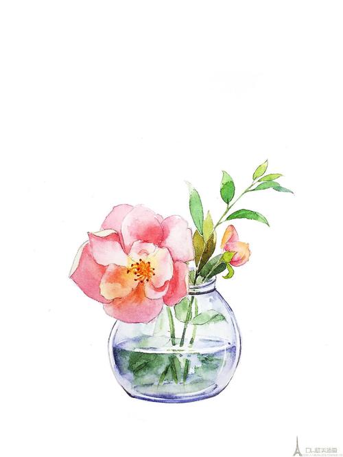 01文艺小清新风写实水彩花卉植物插画水彩手绘教程临摹素材212张