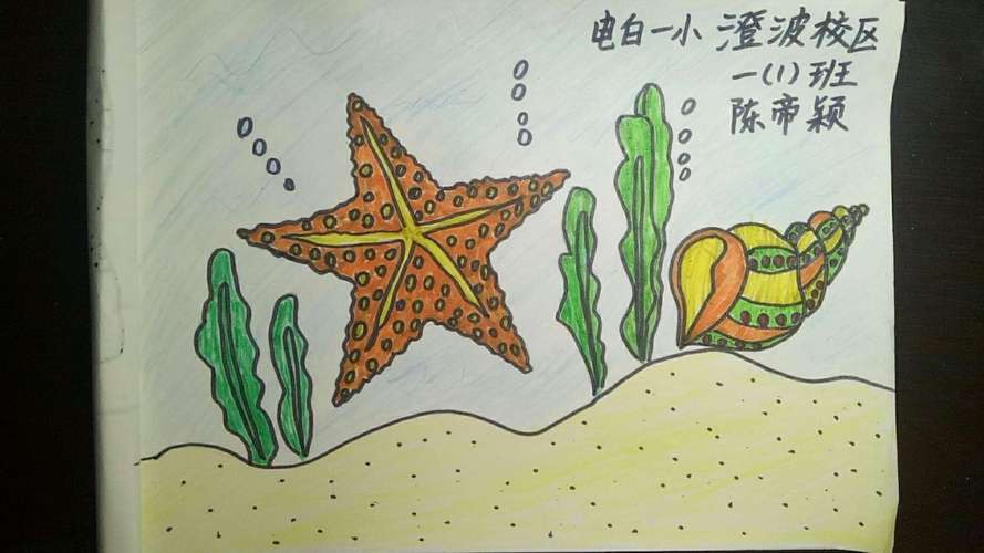 【停课不停学】一年级美术《海螺和海星》线上教学作品展(七)