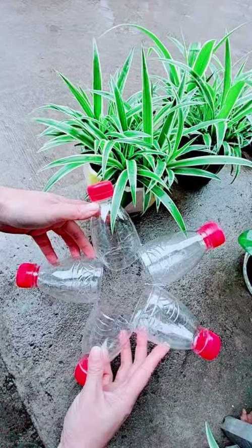 用矿泉水瓶制作简单漂亮的花盆,美观轻巧又好看.