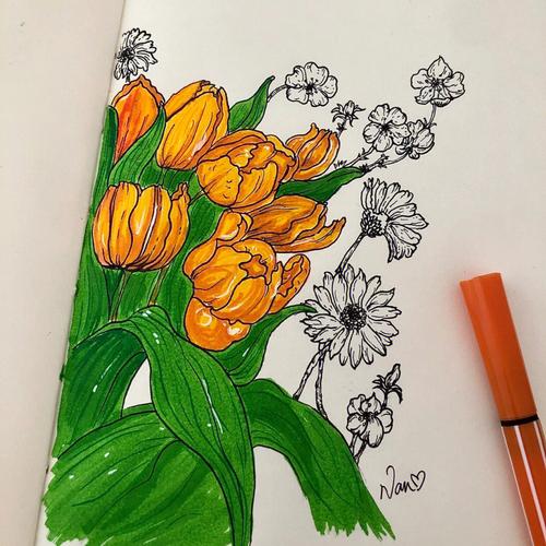 马克笔手绘花卉植物