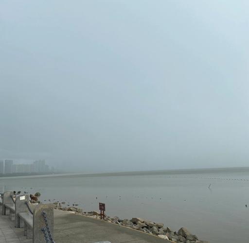 深圳湾公园雨中观海