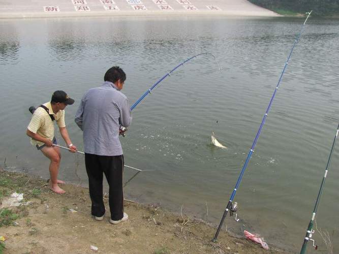 在水库钓鱼通常使用海竿,海竿使用的钓饵是糟食饵,饵团人水十几分钟