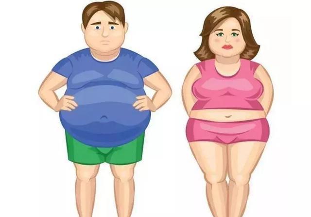 小肚子大是什么原因小肚子大是什么原因怎样能减下来