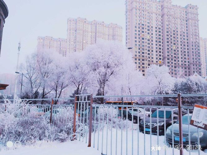冬天的哈尔滨,雪景也是美美哒