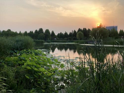 郑州北龙湖湿地公园百科