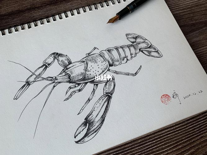 钢笔画威猛的小龙虾有步骤图