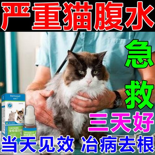 猫传腹特效药猫腹水药猫咪肚子胀大腹膜炎心脏肥大干湿性消腹水
