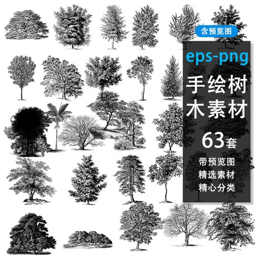 63款复古手绘黑白植物树木棕榈树橡树云杉矢量图插画png设计素材