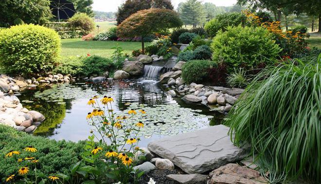 庭院生态水池如何设计花园生态水景观案例分享快学起来吧