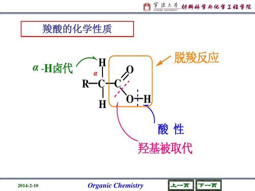 羧酸及其衍生物 (3)ppt