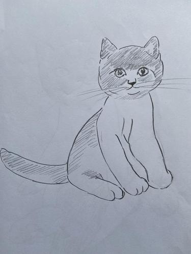 猫的素描简笔画