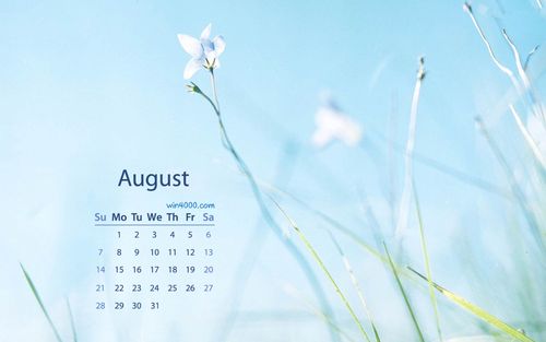 2016年8月日历唯美小清新夏天风景电脑桌面壁纸下载