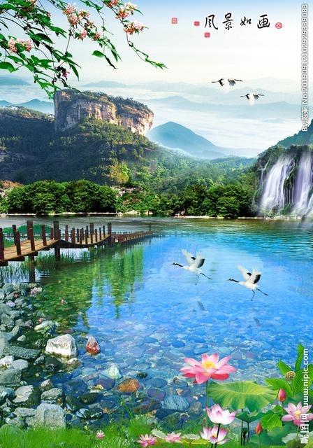 桂林山水花草自然图片