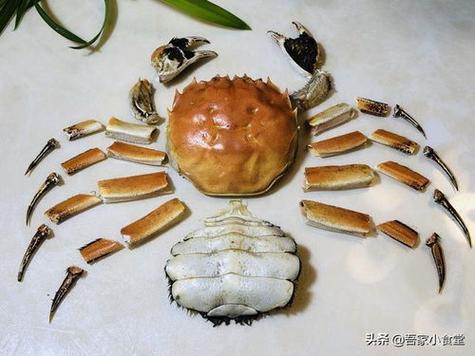 螃蟹的正确做法怎样吃螃蟹的正确方法视频