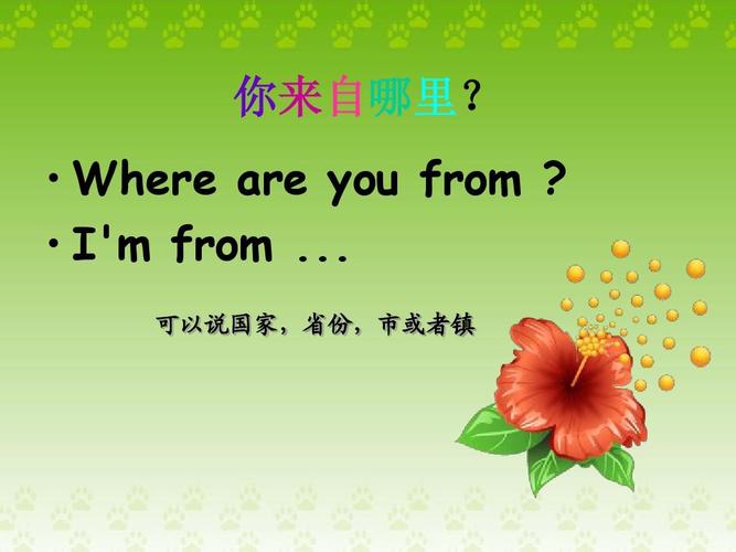 where are you from     i'm from . 可以说国家,省份,市或者镇