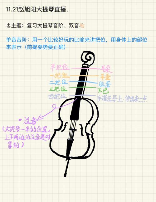 鹿鹿cello1121赵旭阳大提琴直播笔记