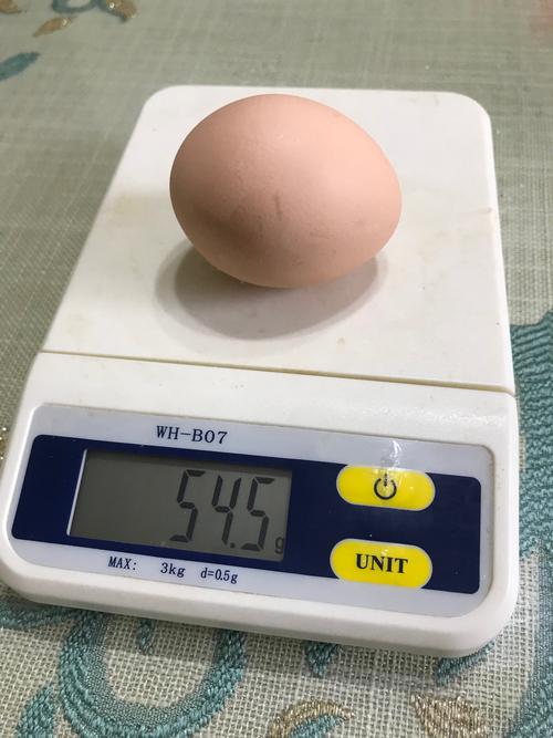 回到家以后,我让妈妈帮称一下鸡蛋有多重.测量后,一个鸡蛋54.5克!