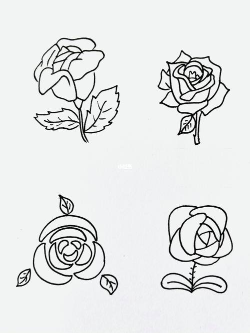 【简笔画】玫瑰花🌹