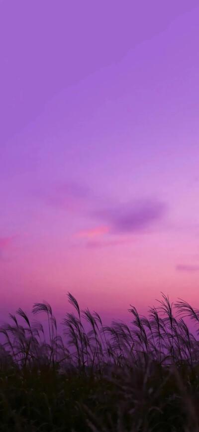 紫色天空风景壁纸