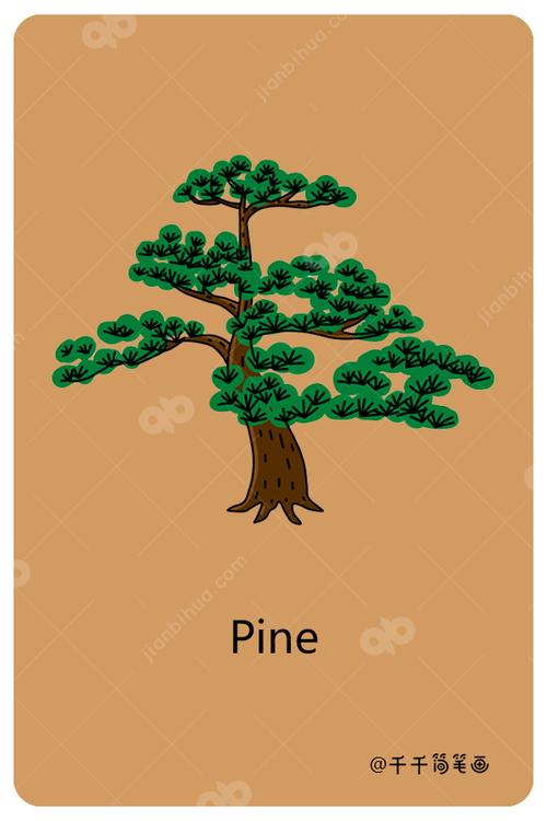 儿童英语词汇认知 松树pine_植物英文认知简笔画