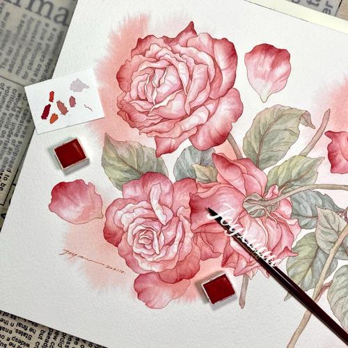 钢笔淡彩复古玫瑰水彩手绘