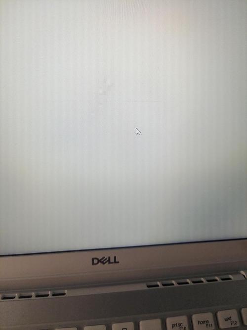 为什么鼠标右键电脑会瞬间白屏戴尔