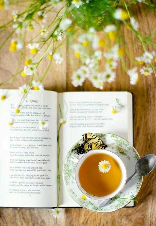 一壶茶,一本书,一缕阳光,一丝清风,随性且自由,简朴且精致.