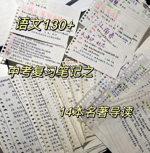 上海语文中考14本名著导读复习笔记