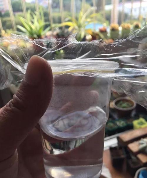1,首先找一个一次性纸杯或者塑料杯,在里面装入半杯清水,然后用保鲜膜