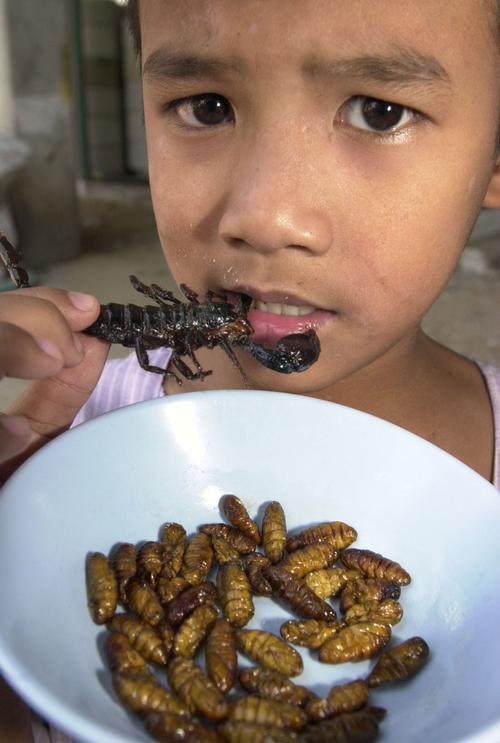 一位泰国小孩在曼谷虫子餐馆吃蝎子