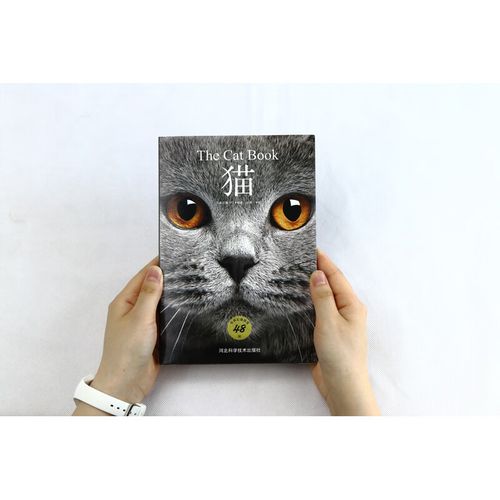 猫图鉴48种世界名猫图鉴猫动物图鉴猫咪书籍养猫指南养猫手册宠物书